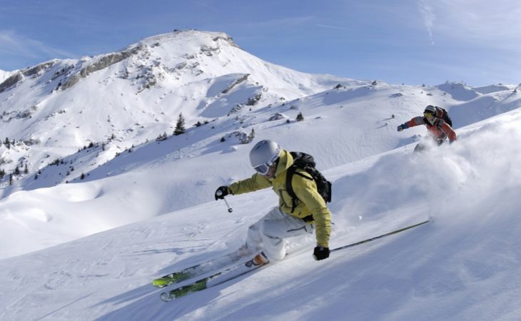 Ski Image